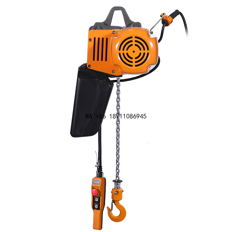 500Kg Heavy Duty Electric Chai - Heavy Equipment Lift incelemesi ve fiyatı