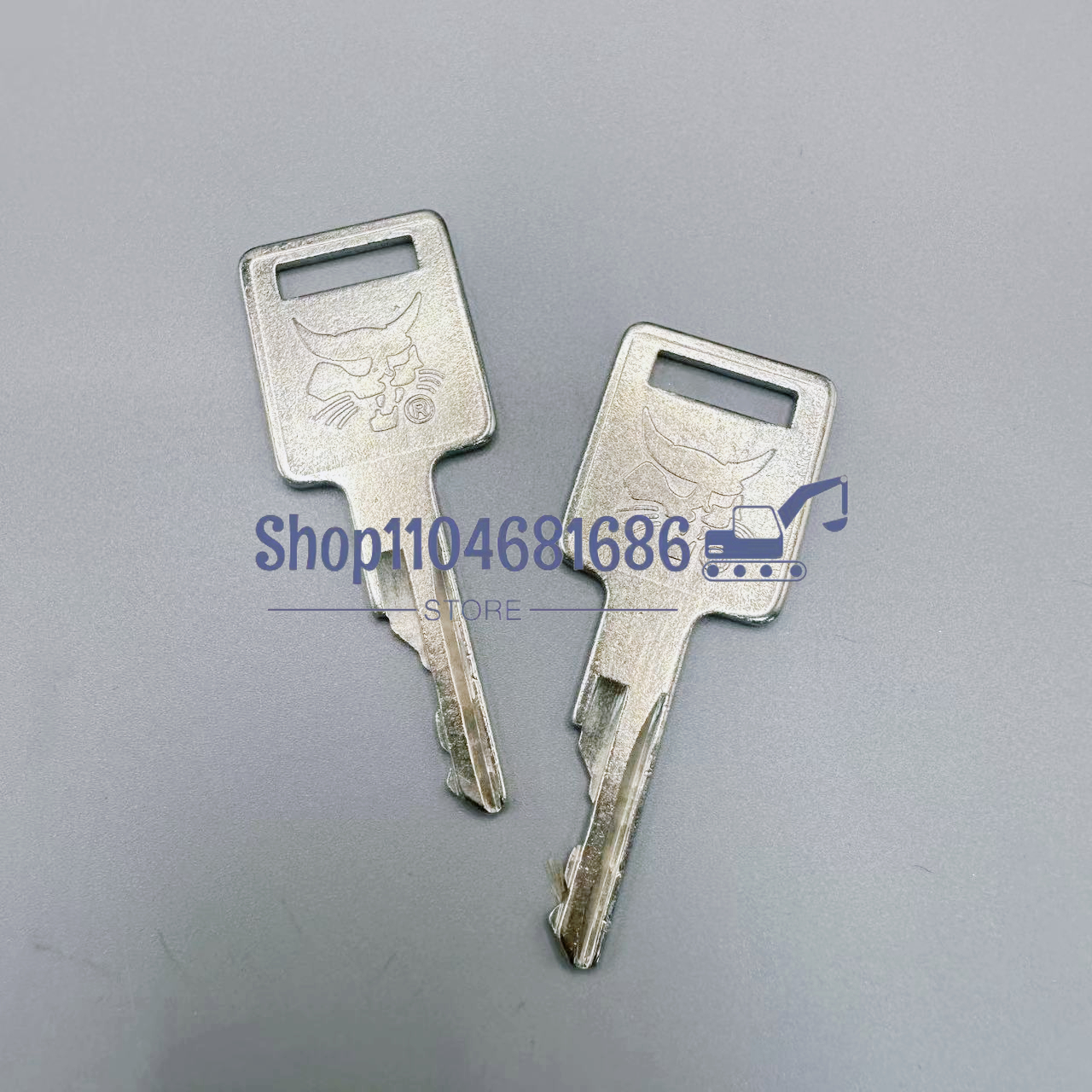 2pcs D250 Ignition Keys 669324 - Heavy Equipment Keychain incelemesi ve fiyatı